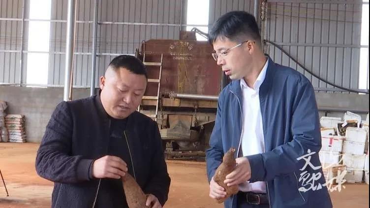 TG反波胆·(中国区)官方网站