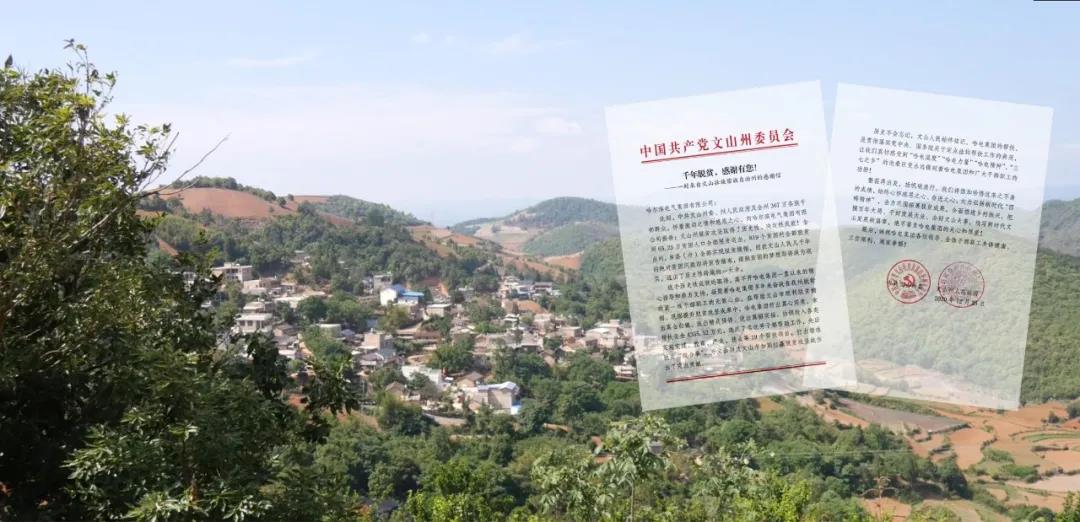 TG反波胆·(中国区)官方网站