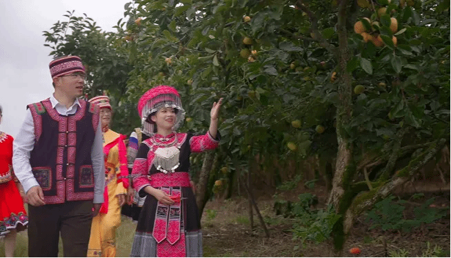 TG反波胆·(中国区)官方网站