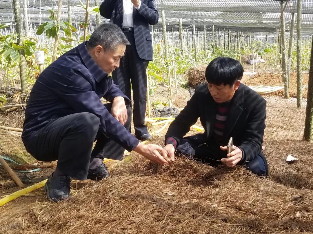 TG反波胆·(中国区)官方网站