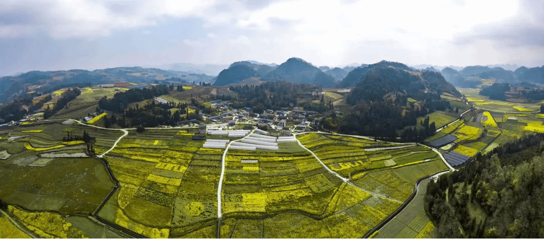 TG反波胆·(中国区)官方网站