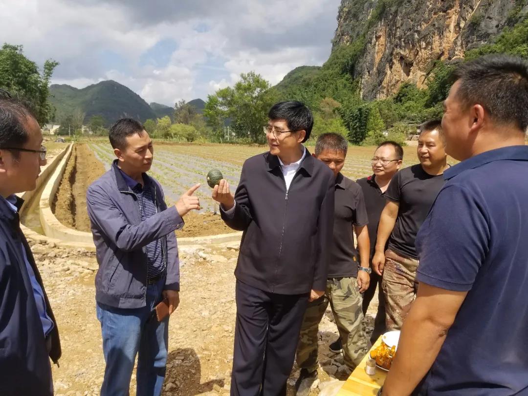 TG反波胆·(中国区)官方网站