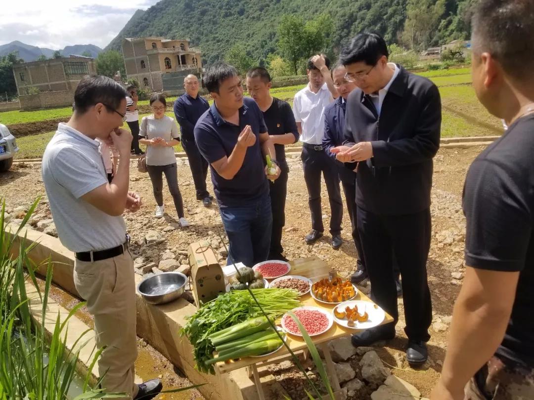TG反波胆·(中国区)官方网站