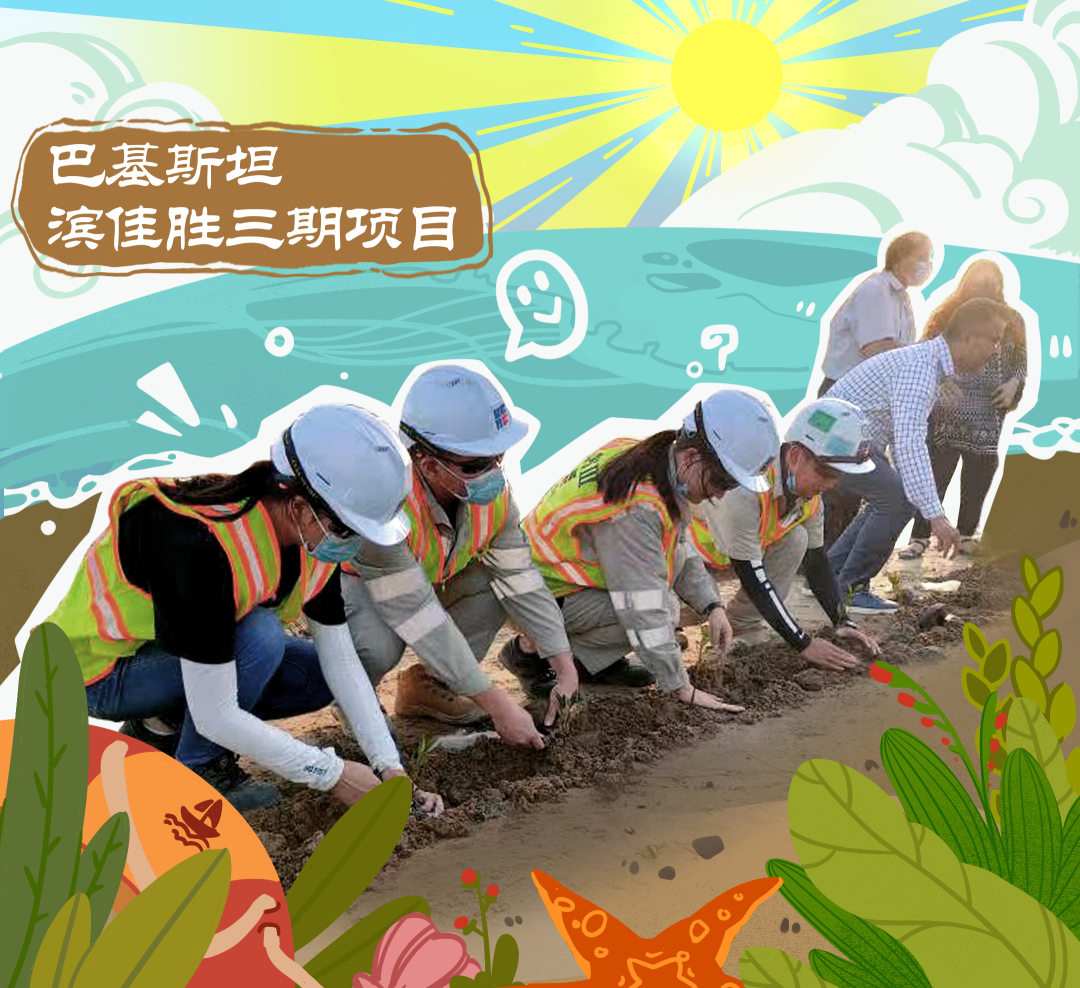 TG反波胆·(中国区)官方网站