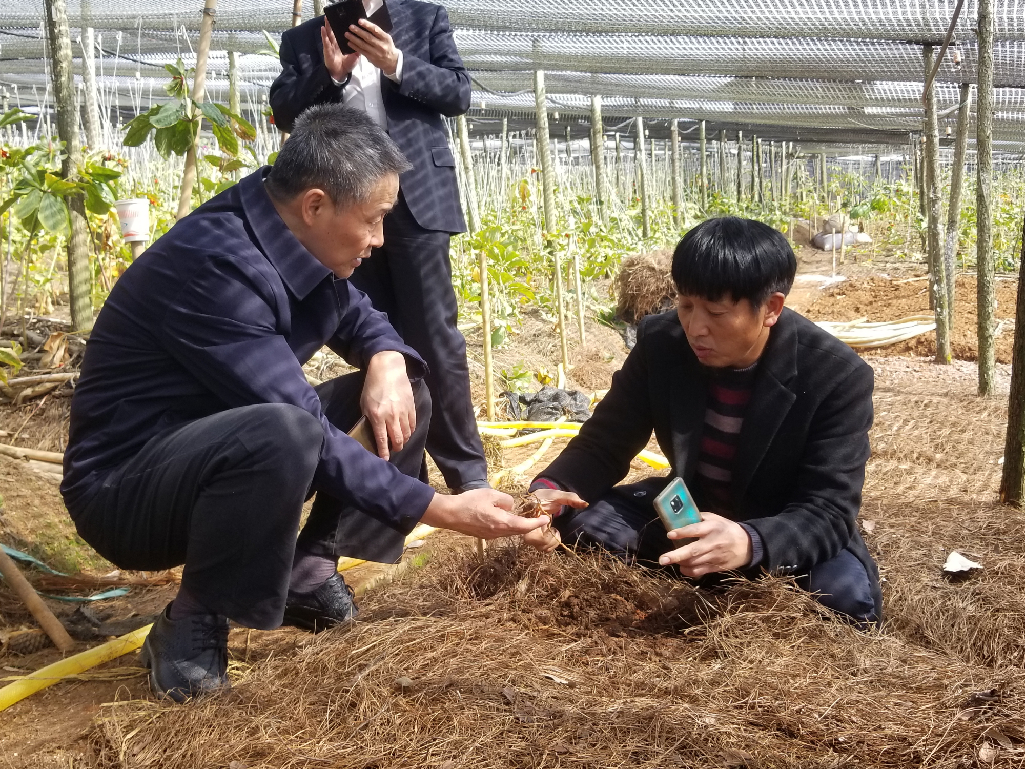 TG反波胆·(中国区)官方网站