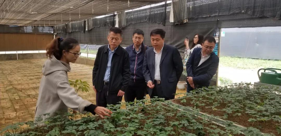 TG反波胆·(中国区)官方网站