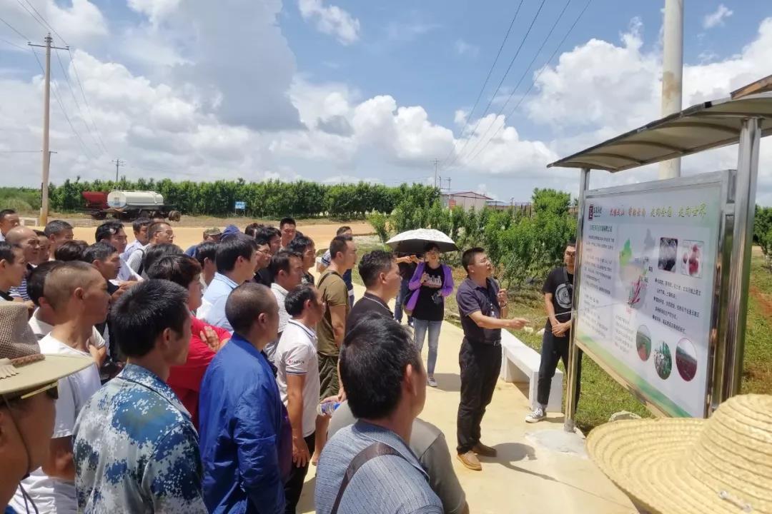 TG反波胆·(中国区)官方网站