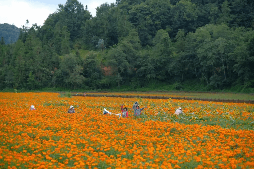 TG反波胆·(中国区)官方网站
